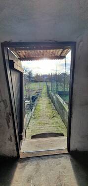 Grundstück_Garten - 