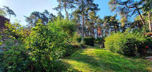 traumhaftes Grundstück - 