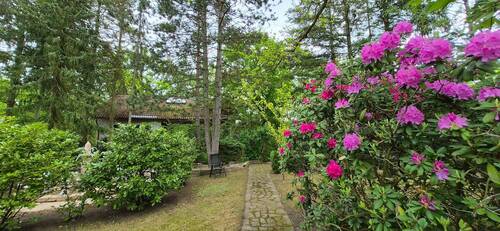 Ansicht Haus + Garten - 