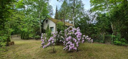 Ansicht Haus + Garten - 