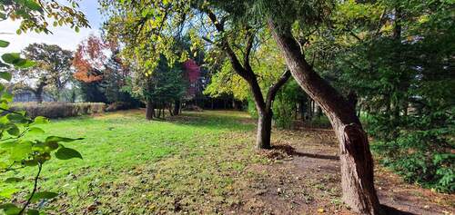 Ansichten - Grundstück - Wald - 