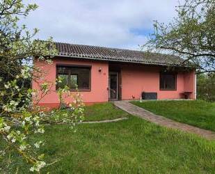 Direkt am Elbdeich * Kleiner, feiner Bungalow auf großem Grundstück mit EBK, Kamin und Garage - Höhbeck Vietze