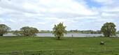 wenige Schritte bis zur Elbe - 