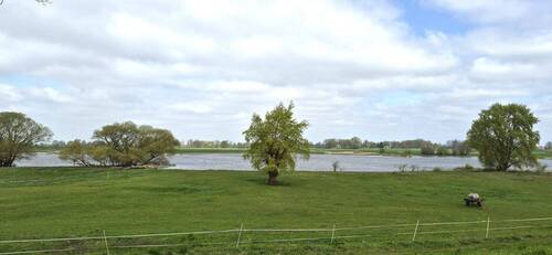 wenige Schritte bis zur Elbe - 