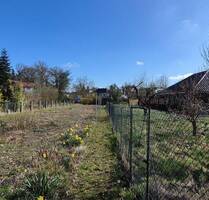 Stadtnahes Wohnen auf großem Grundstück - Viel Platz für Ihre Ideen - Dannenberg