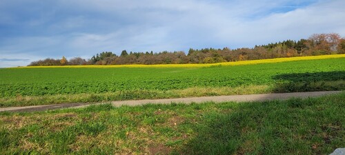Blick hinter dem Haus - 3 Zimmer Erdgeschoßwohnung in Villingen-Schwenningen