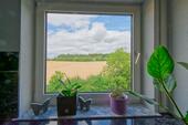 Aussicht aus der Küche - 
