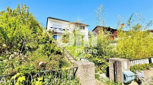 Zugang Wohnhaus / Treppenaufgang - 