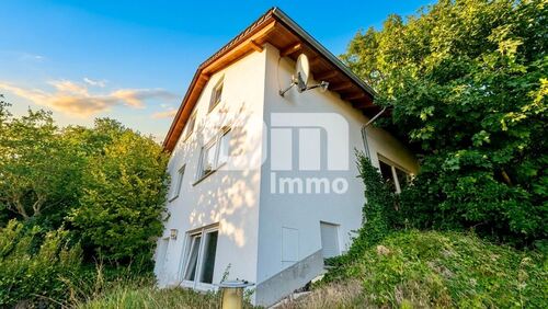 Seitenansicht - 5 Zimmer Einfamilienhaus zum Kaufen in Philippsthal (Werra)