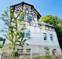 Sanierter Wohntraum mit Garten Terrasse und 2 Garagen + vielen Extras - Witzenhausen