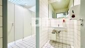 Damen WCs - 
