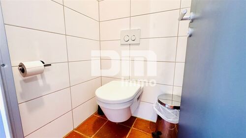 EG WC - 