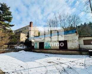 Halle in Hohenleuben 99.000,00 € 4310.74 m²