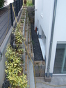 Lichthof - 