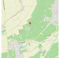 ***Sonniger Weinberg mit ca. 4.953 m² in attraktiver Lage von Bodenheim***