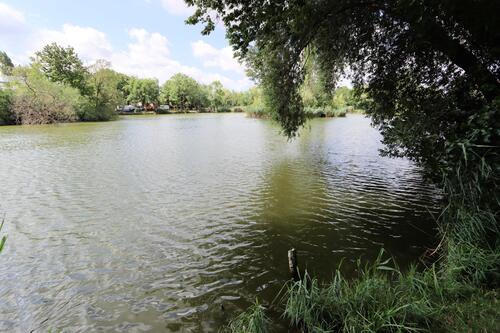 Teich vor dem Haus - 