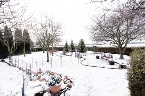 Garten Richtung Süd-Westen - 