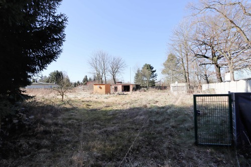Garten vorn Eingang - 