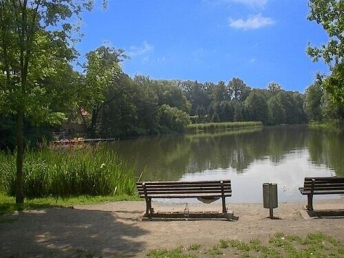 31190831-Blick auf den hinter - 