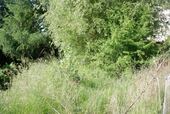 Gartenanteil - 