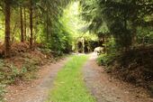 Zufahrt und Parkplätze - 