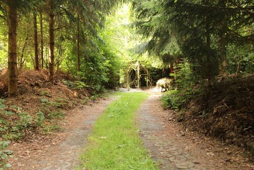Zufahrt und Parkplätze - 