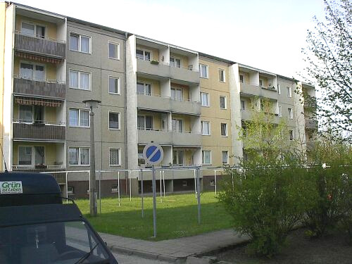 Haus von hinten - 