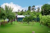 Garten - visualisiert - 