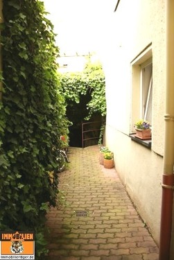 Hinterhof - 