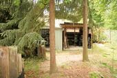 Schuppen - 