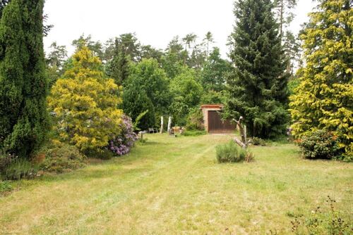 Einfahr zur Garage - 