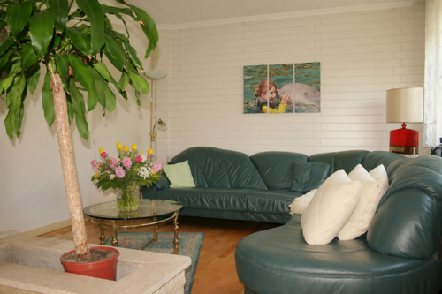 Kaminzimmer - 