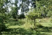 Grundstück - 