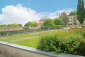Wiese hinter dem Haus - 