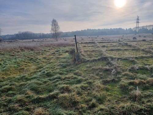 JÄV wiese - 15 Zimmer Bauernhaus, Landhaus in Gardelegen