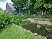 Teich - 