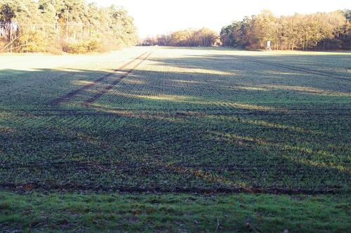 Flächeansicht vom breiten Ende - landwirtschaftliche Fläche in Füchtorf