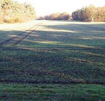 landwirtschaftliche Fläche in Füchtorf - Sassenberg