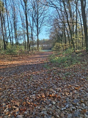 Zufahrt von breiteren Ende der Fläche - Grundstück in Sassenberg zum Kaufen