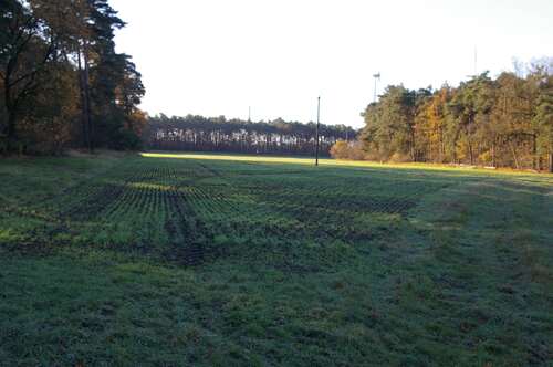 Flächenansicht vom Norden - 