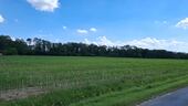 landwirtschaftliche Fläche - Ackerbau zum Kaufen in Beckum