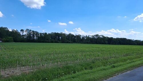 landwirtschaftliche Fläche - Ackerbau zum Kaufen in Beckum