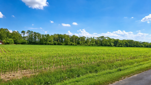 KI verändert - landwirtschaftliche Ackerfläche in Beckum zu verkaufen