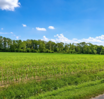 landwirtschaftliche Ackerfläche in Beckum zu verkaufen