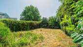 Blick auf den Garten - 