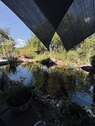 Gartenteich - 