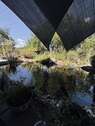 Gartenteich - 