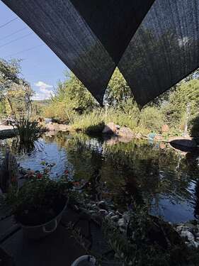 Gartenteich - 