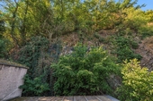 Berg mit Wald hinter dem Haus - 