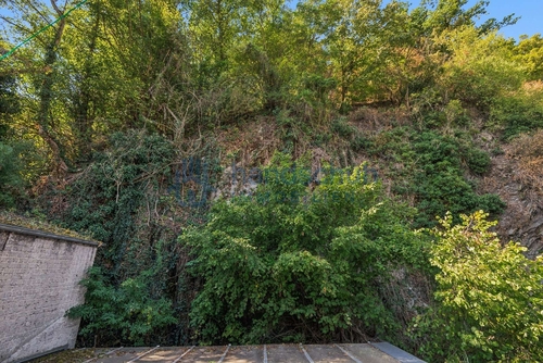Berg mit Wald hinter dem Haus - 
